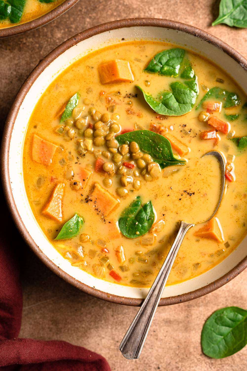 Savory Coconut Curry Lentil Stew with Sweet Potatoes