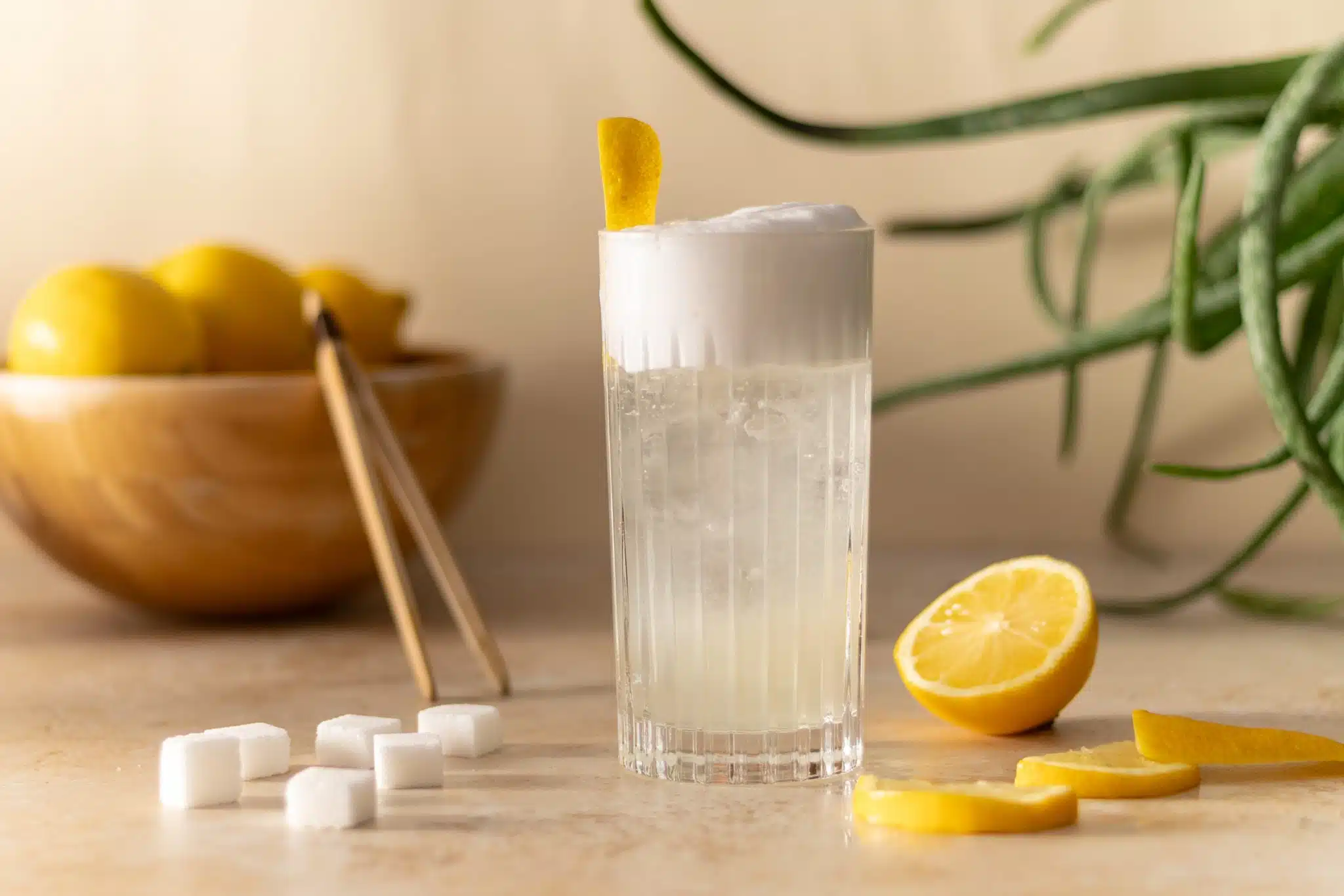 Half-Citrus Gin Fizz