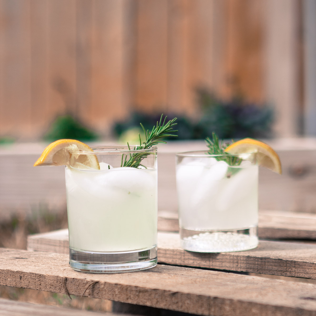 Shaken Gin and Tonic with Rosemary