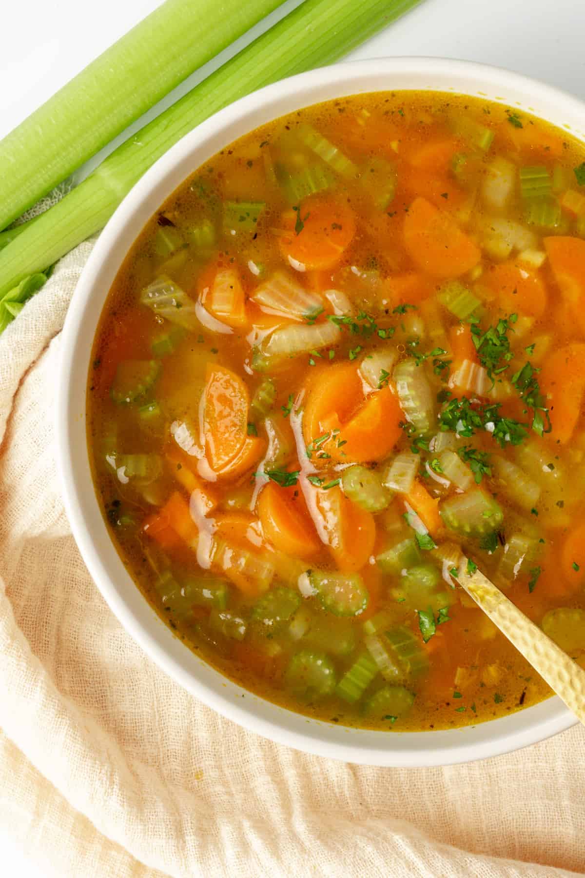 Carrot-Celery Vegetable Soup