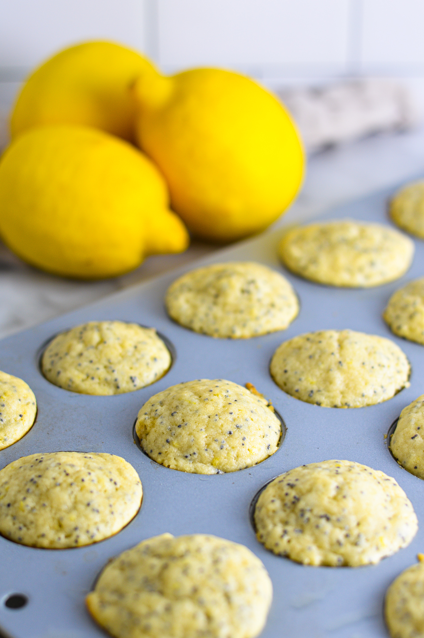 Mini Lemon Poppy Seed Muffins with Citrus Zest