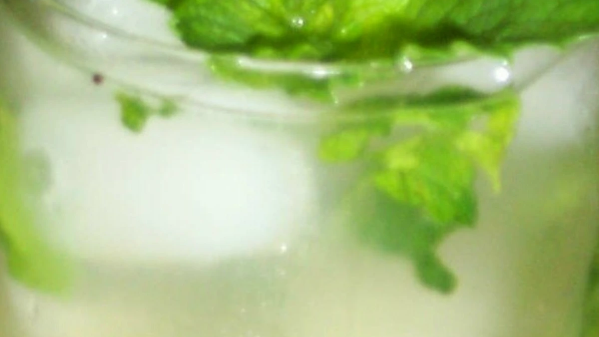Mint and Lemon Garden Spritzer