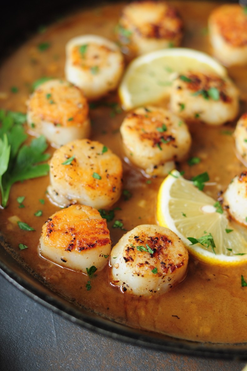 Pan-Seared Scallops with Lemon Dill Sauce