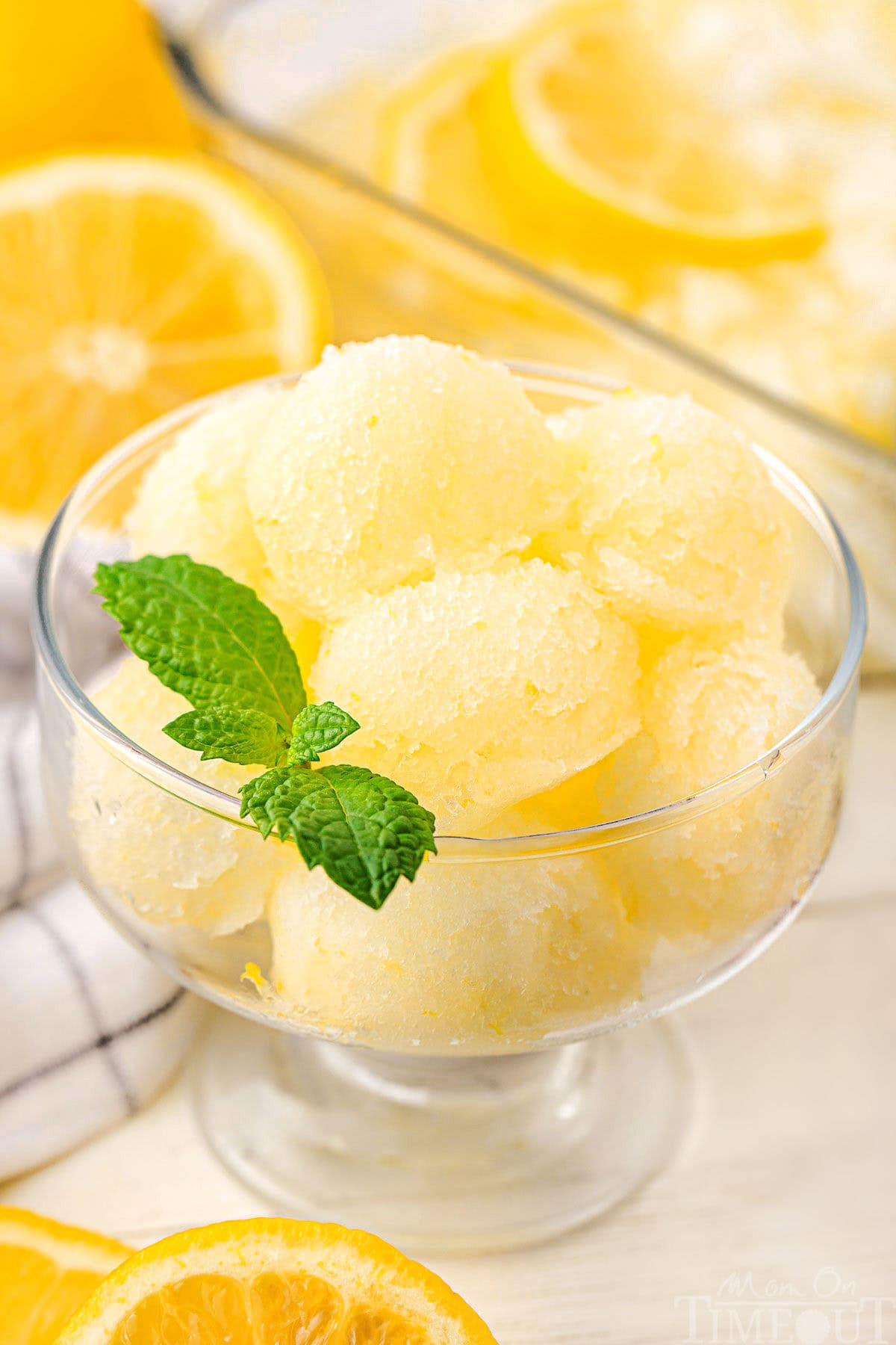 Citrus Fruit Sorbet with Mint