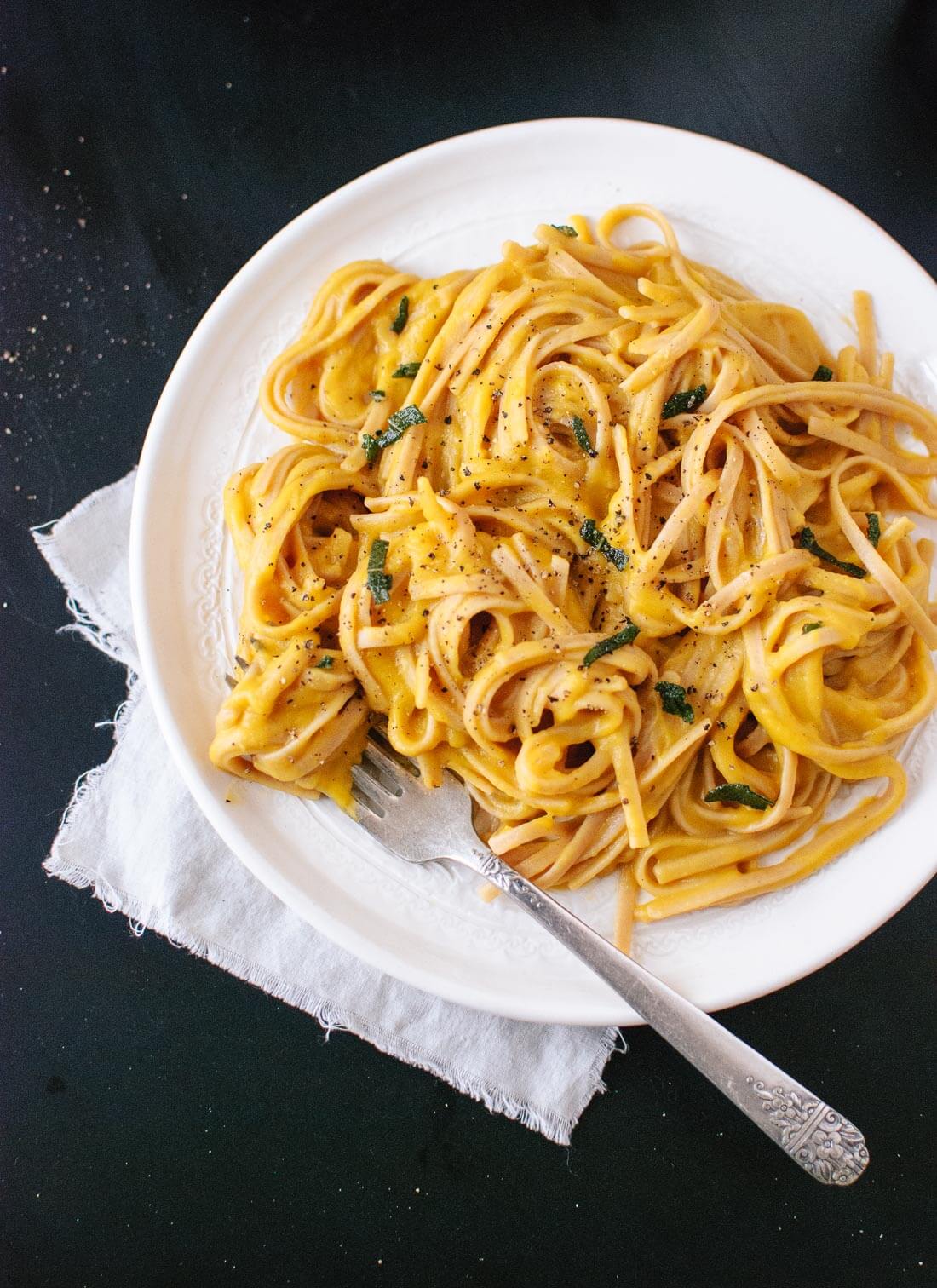 Squash Noodle Tomato Basil Sauce
