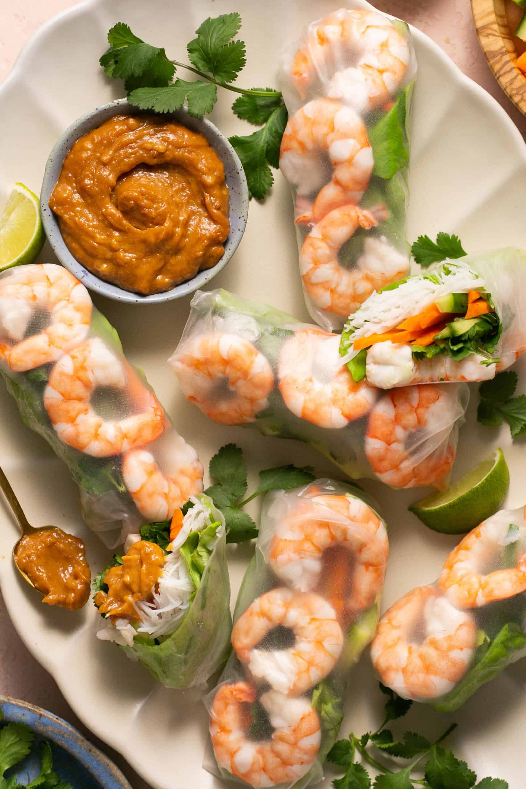 Rice Paper Spring Rolls with Peanut Dipping Sauce
