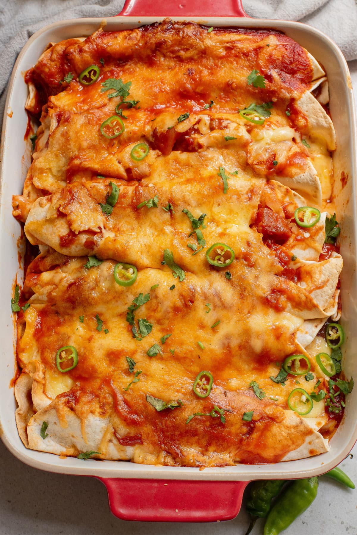 Traditional Mexican Enchiladas with Chicken and Cheese
