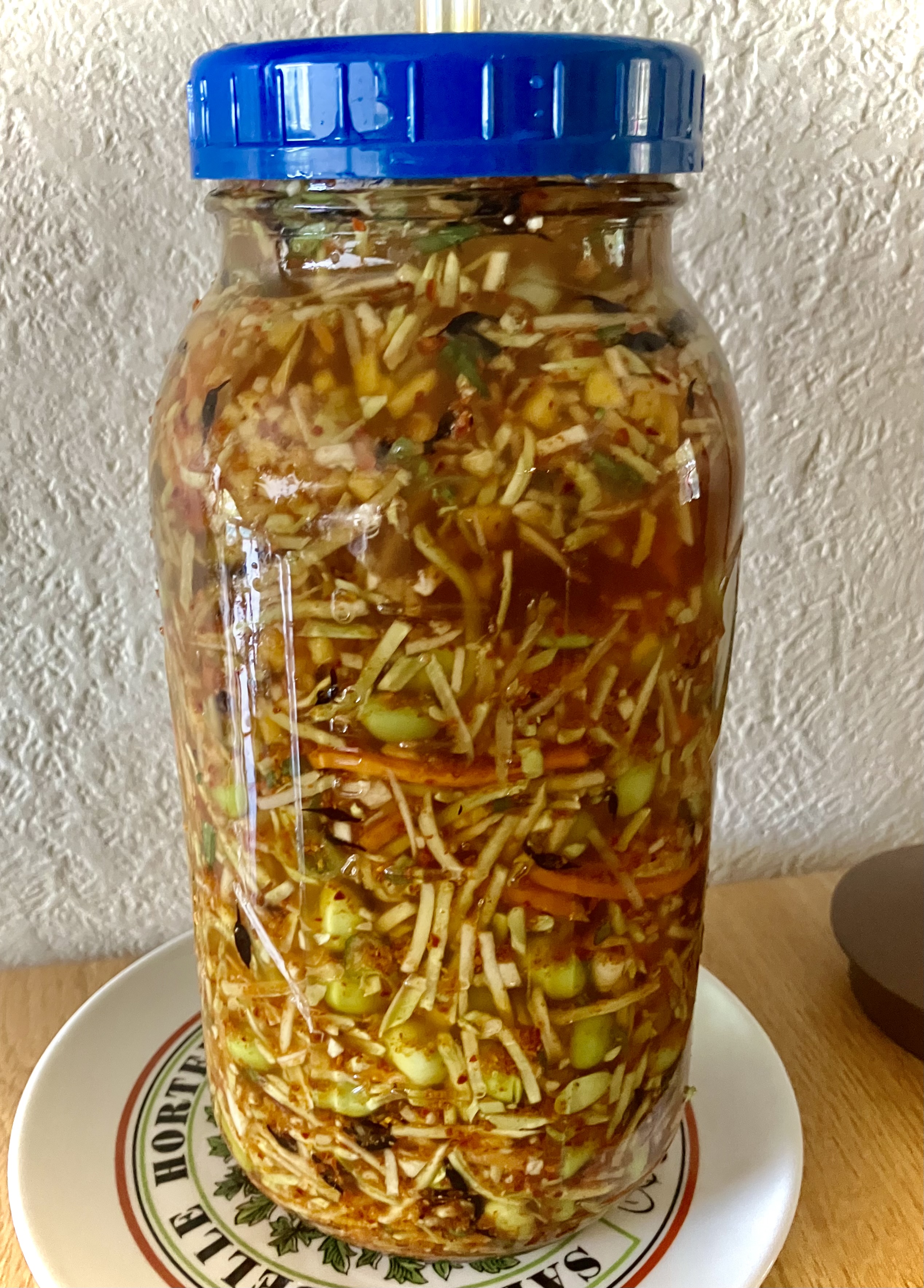 Fermented Ginger-Turmeric Slaw with Edamame
