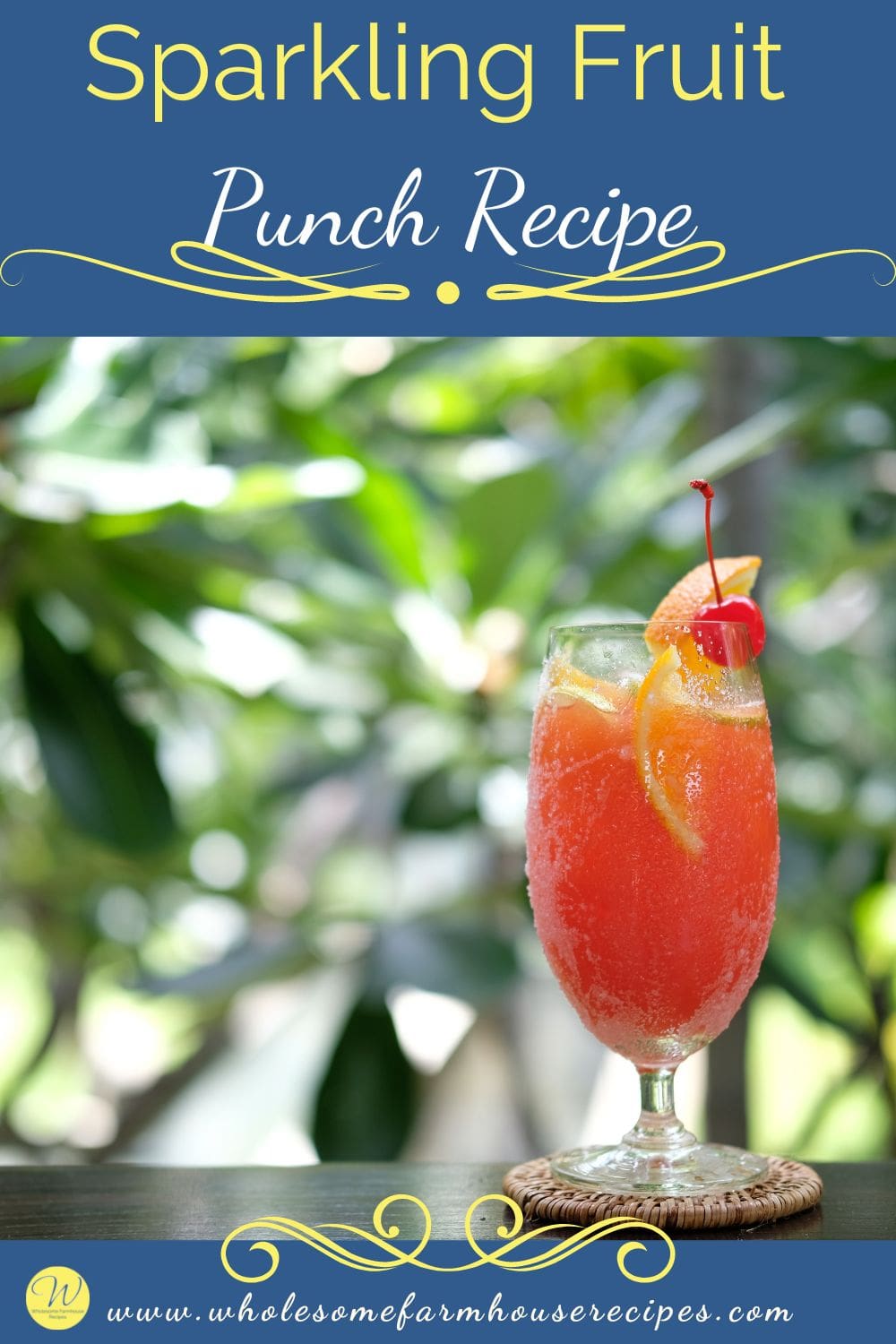Ginger-Lemon Sparkling Fruit Punch