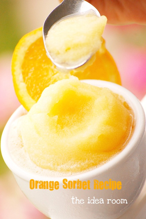 Orange-Bitter Sorbet