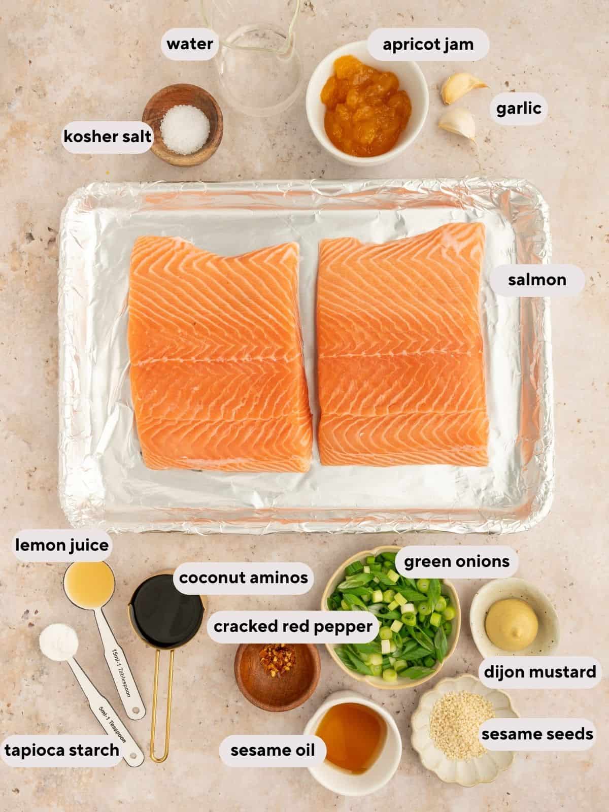 Herb-Infused Salmon with Aperol Glaze