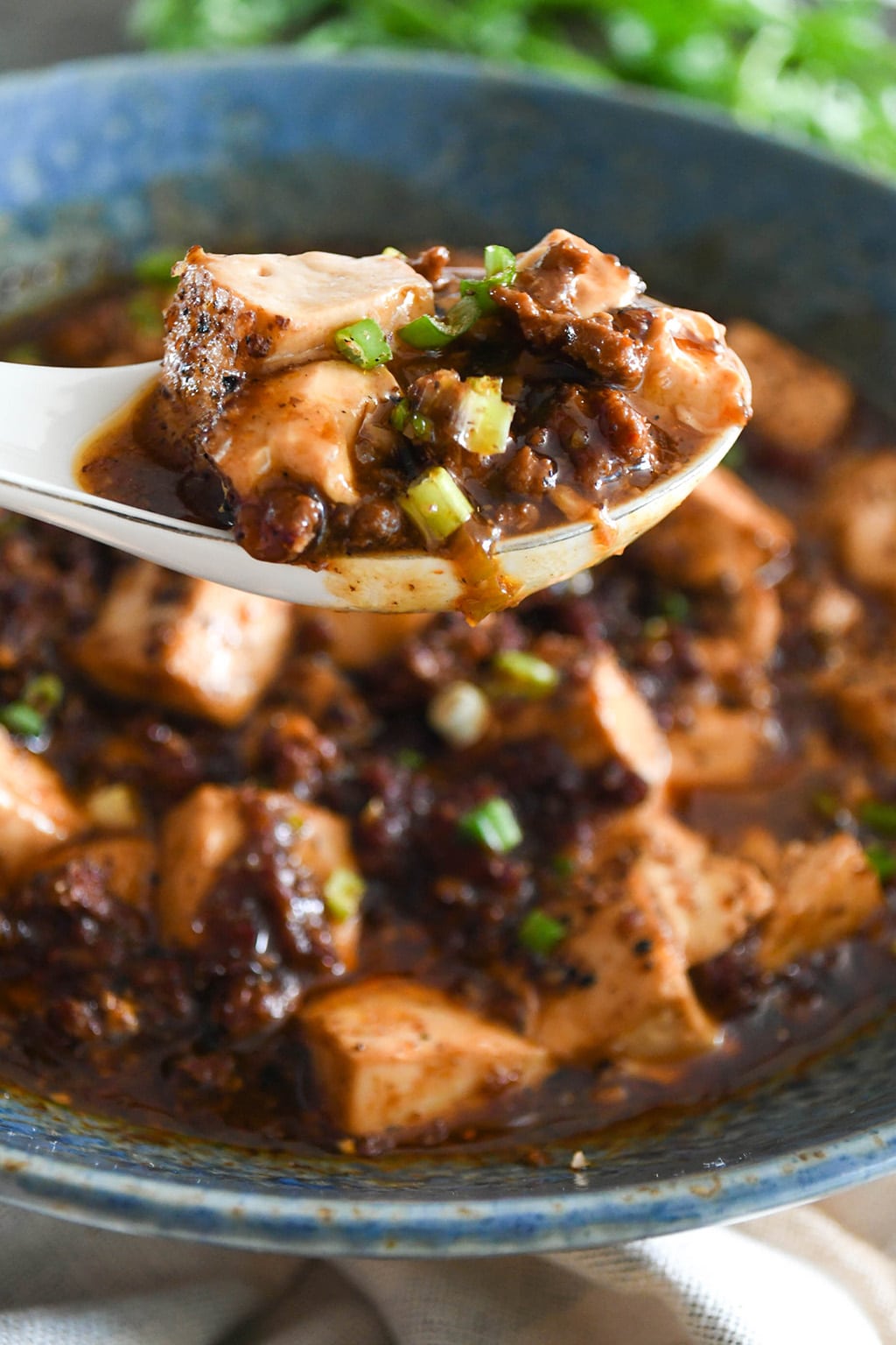 Sichuan Stir-Fried Tofu with Doubanjiang and Ground Pork