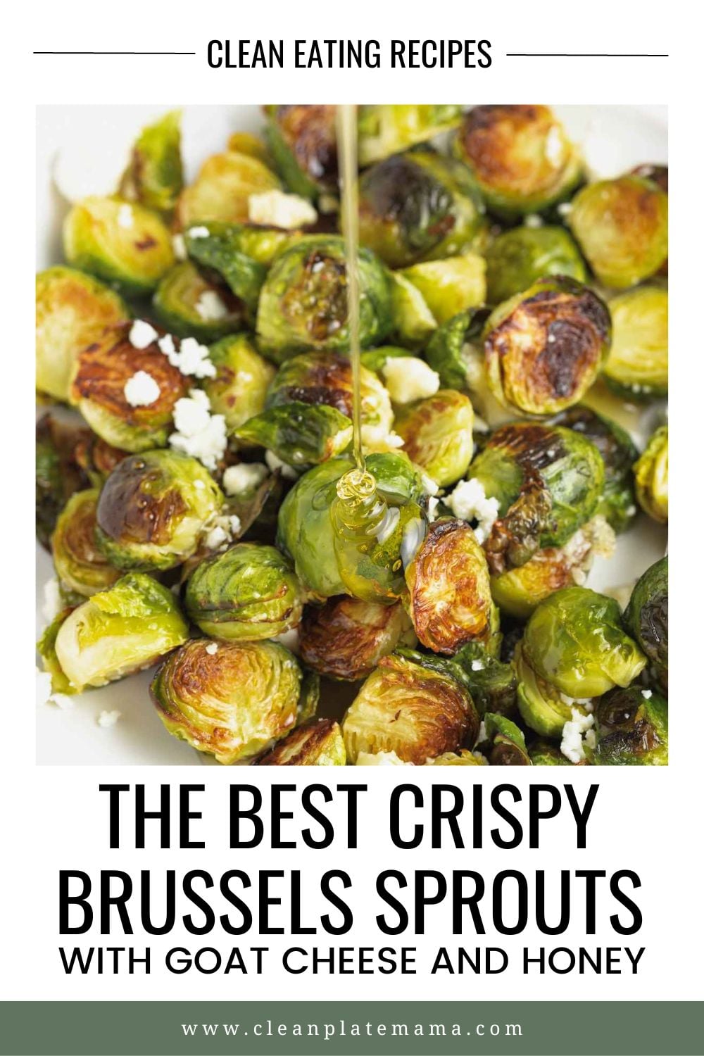 Brussels Sprouts & Goat Cheese Salad with Honey Vinaigrette