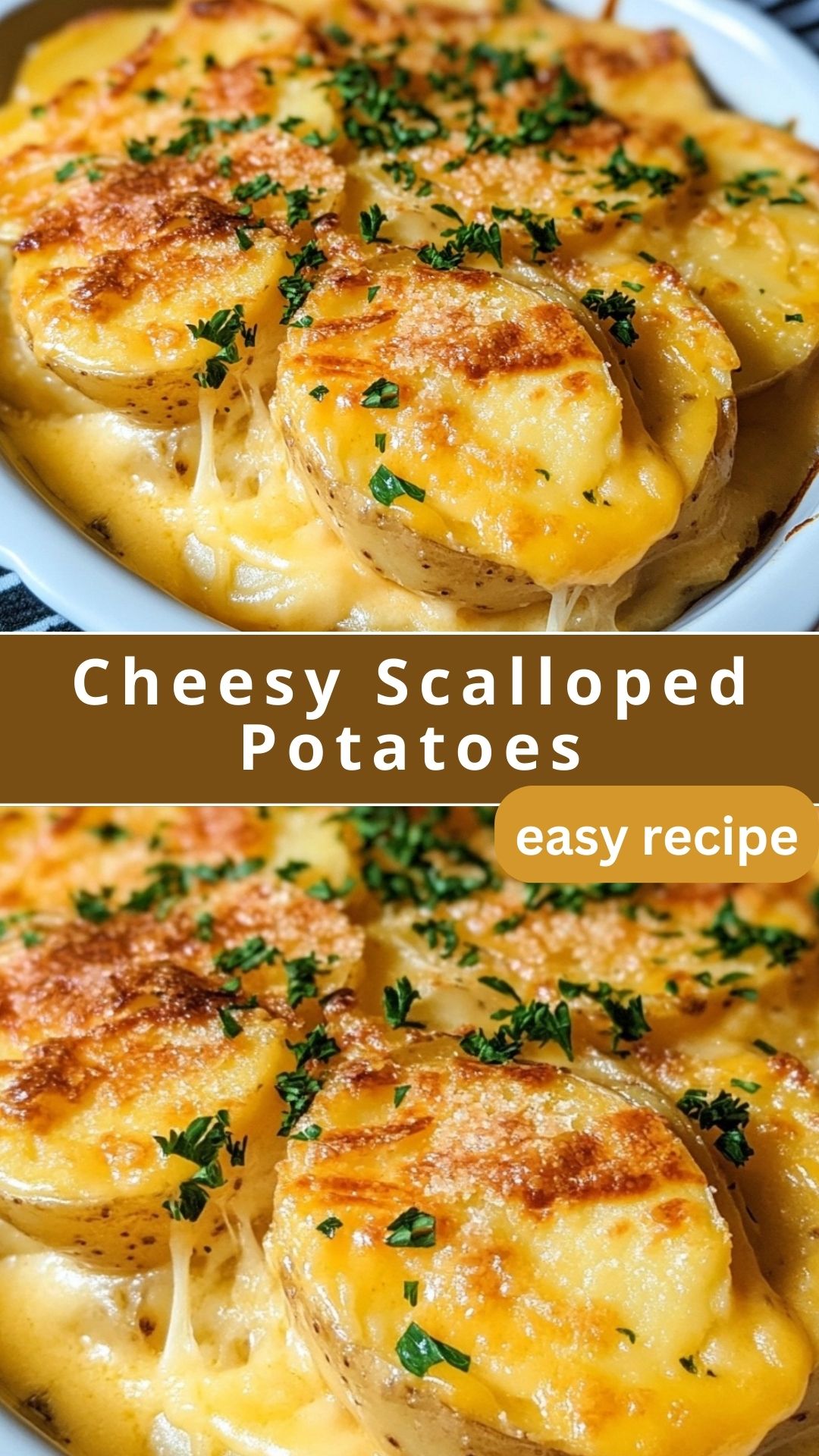Creamy Cheesy Scalloped Potatoes with Thyme