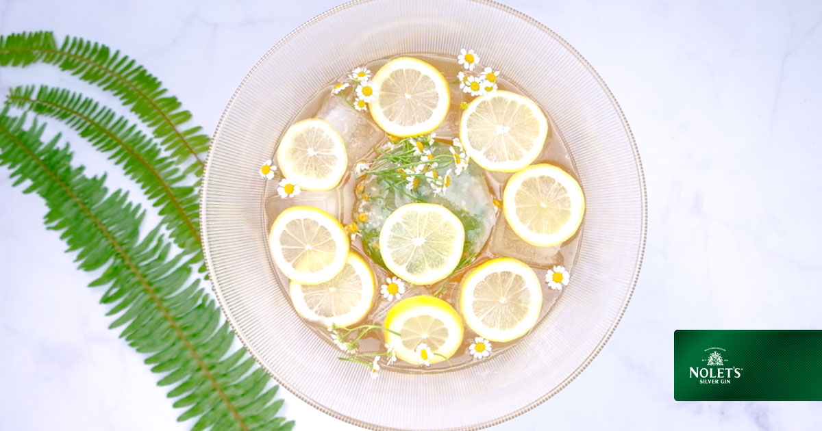 Citrus-Ginger Sparkler Punch