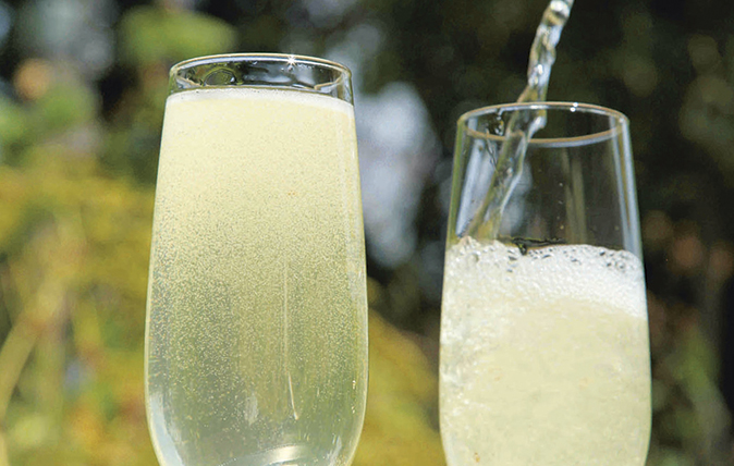 Elderflower-Thyme Sparkling Cooler
