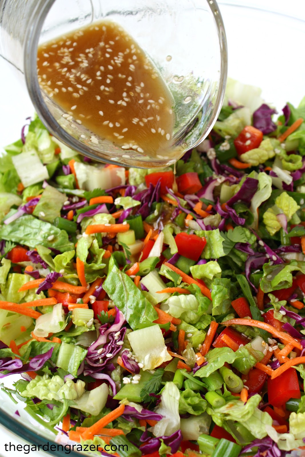 Amaranth-Tossed Asian Salad with Ginger-Sesame Dressing