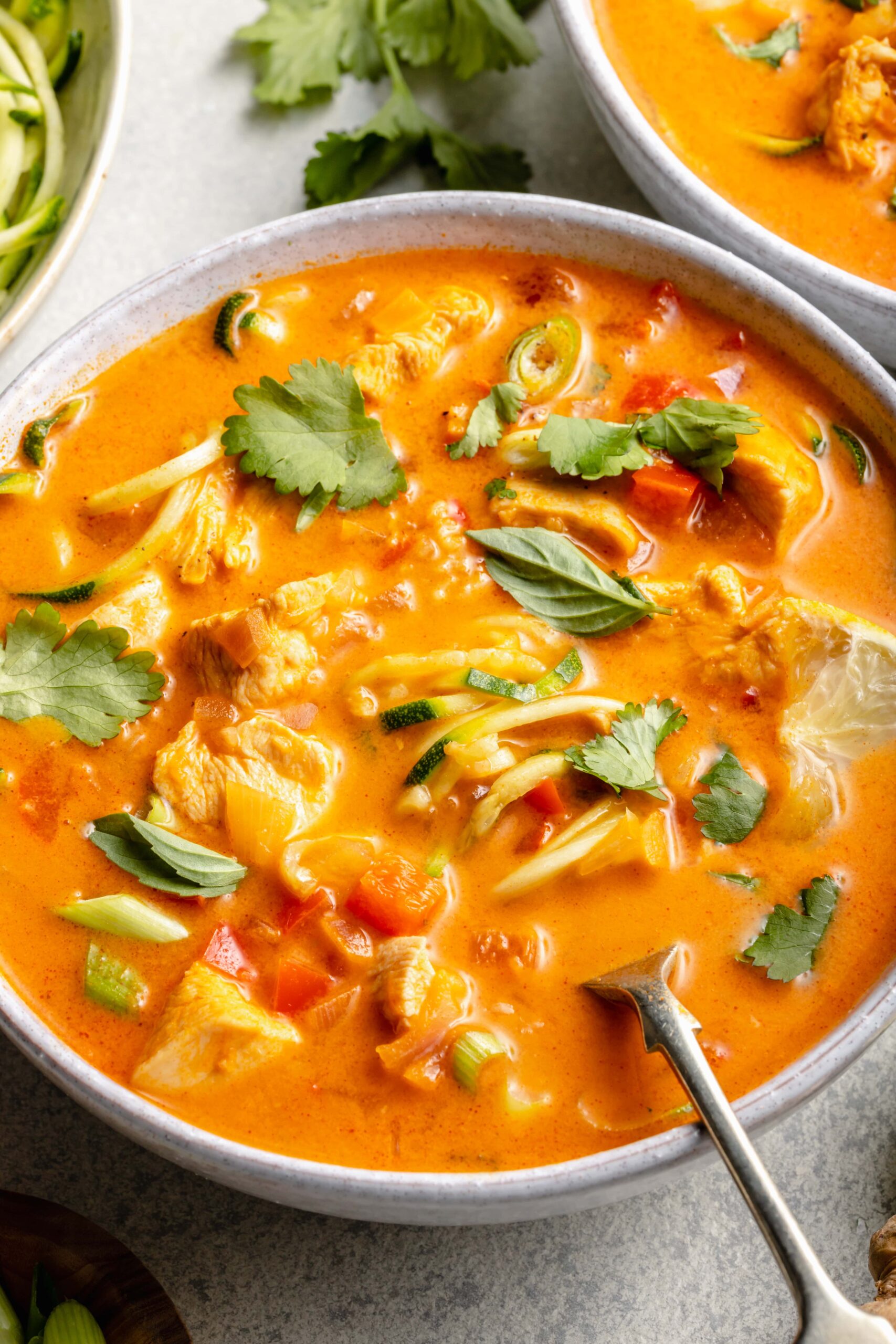 Thai Chicken Soup with Red Curry Paste and Coconut Milk