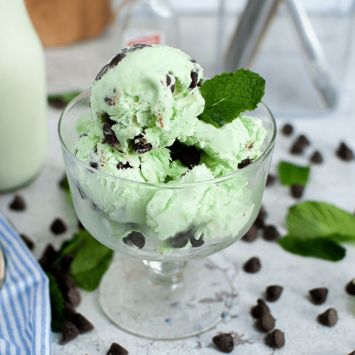 Mint Chocolate Chip No-Churn Ice Cream