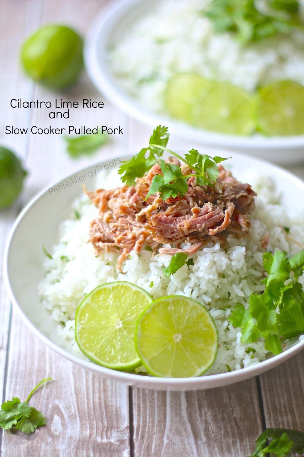 Slow-Roasted Pork with Cilantro-Lime Rice