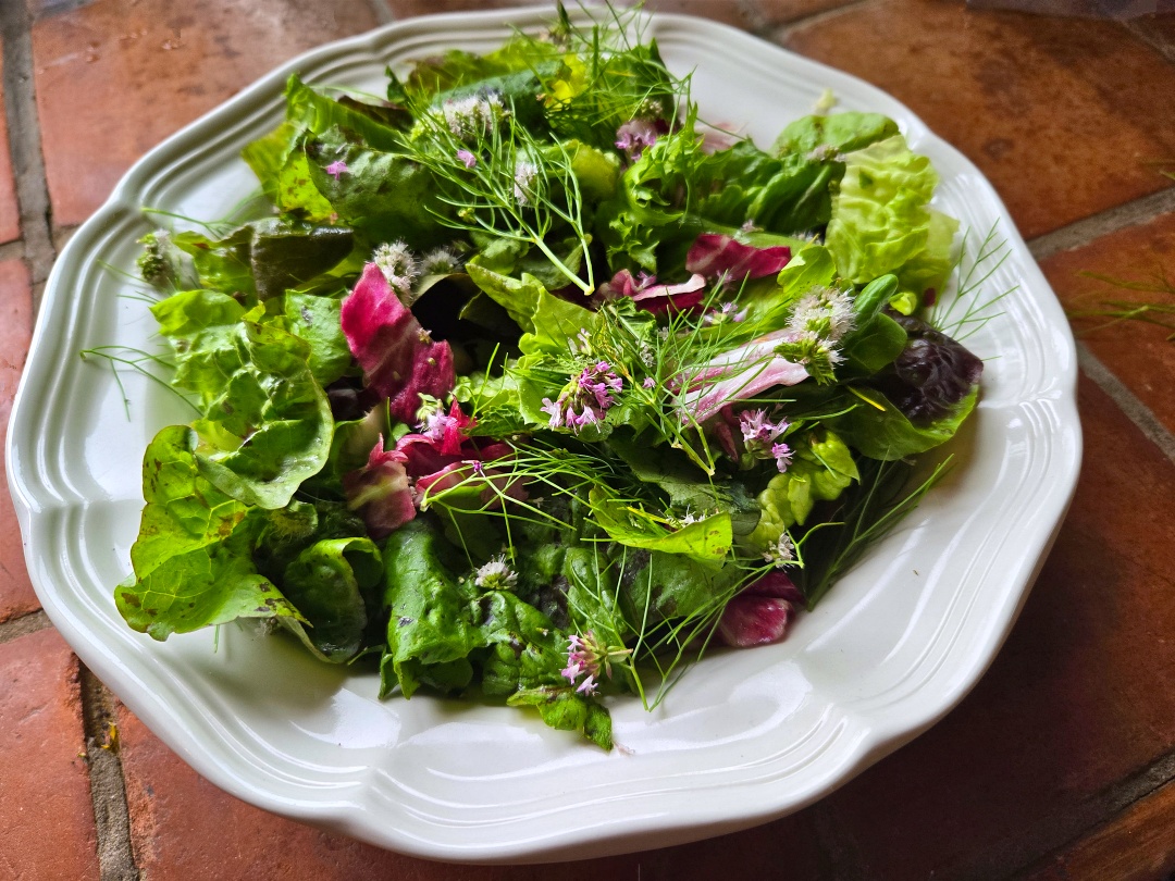 Central Canal Herb Salad
