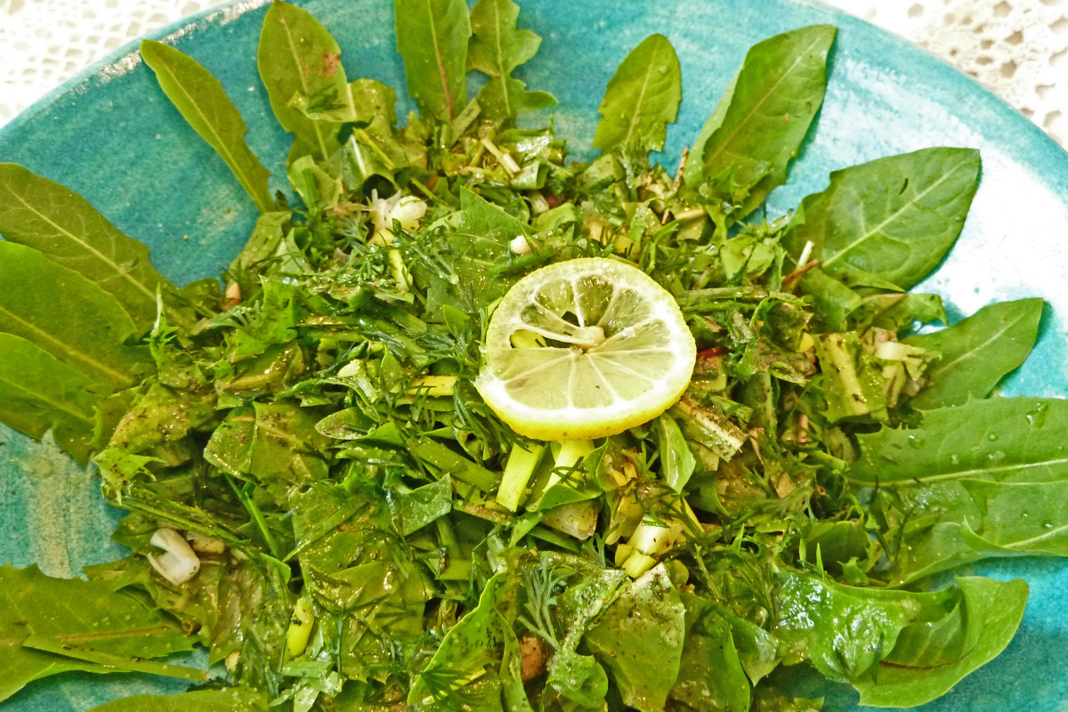 Dandelion Greens and Apple Salad with Honey Vinaigrette
