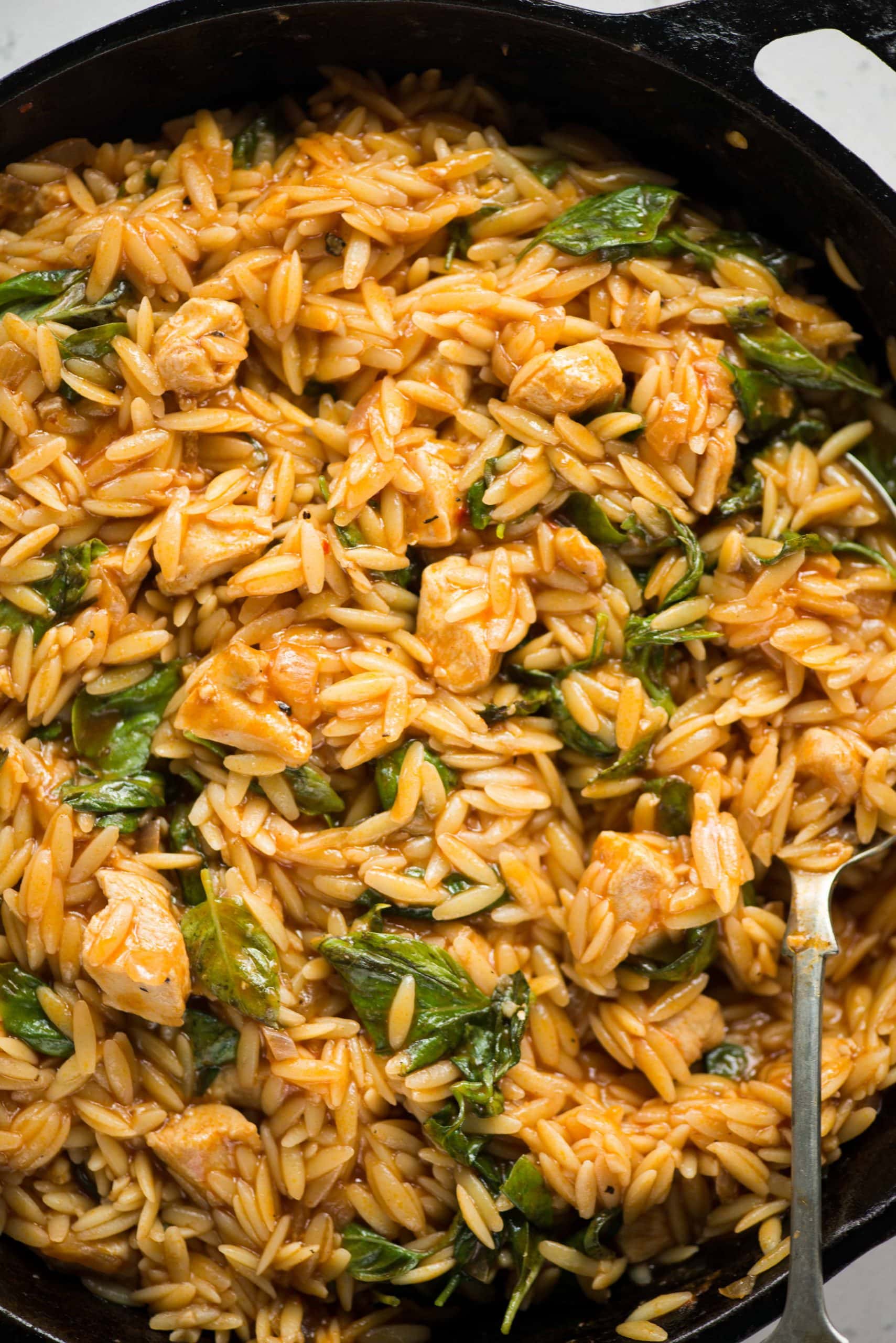 One-Pot Chicken in Tomato Basil Sauce with Orzo