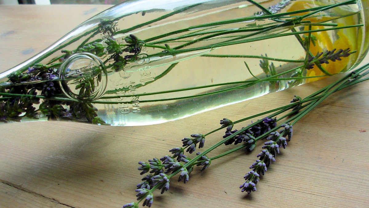 Lavender Vodka Fizz