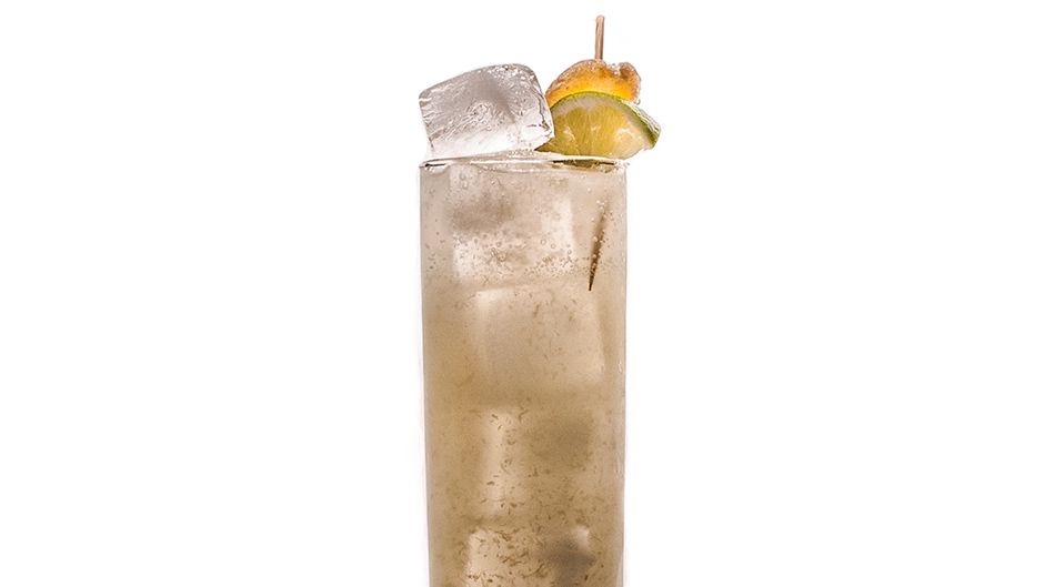 Honey-Ginger Mule with Fresh Citrus