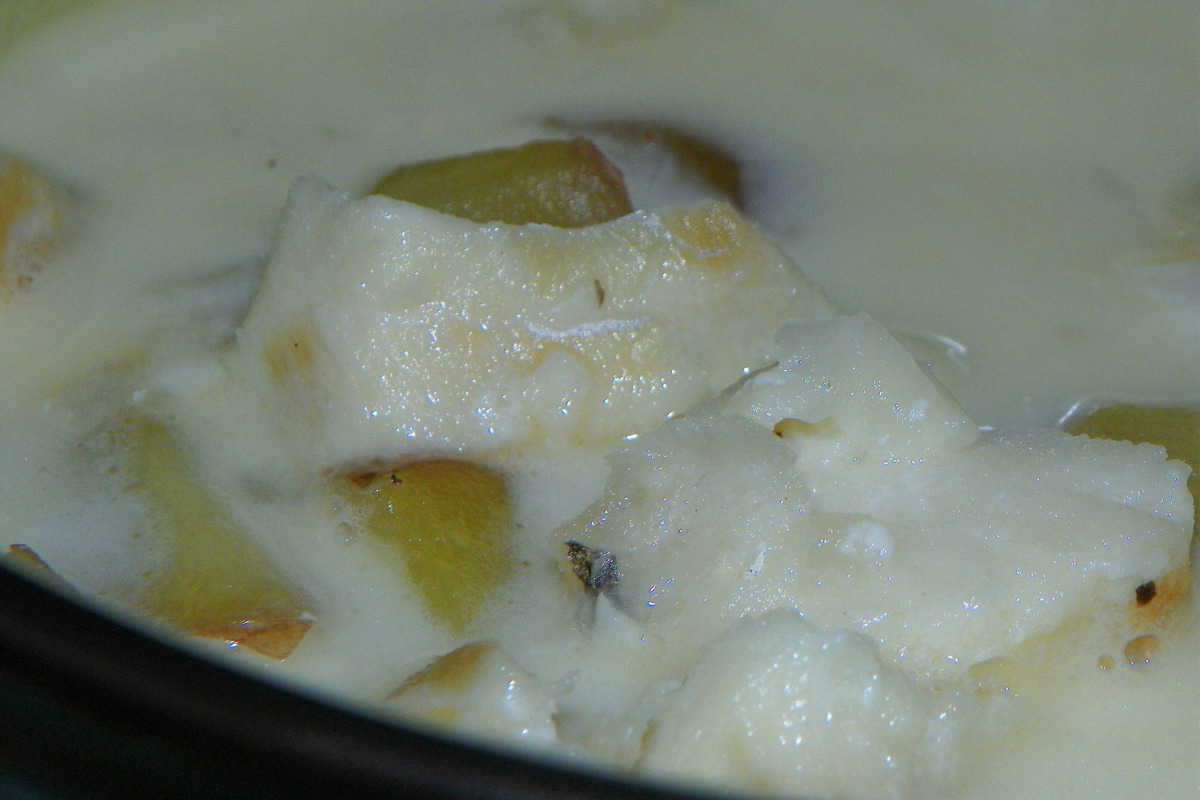 Atlantic Haddock and Leek Chowder