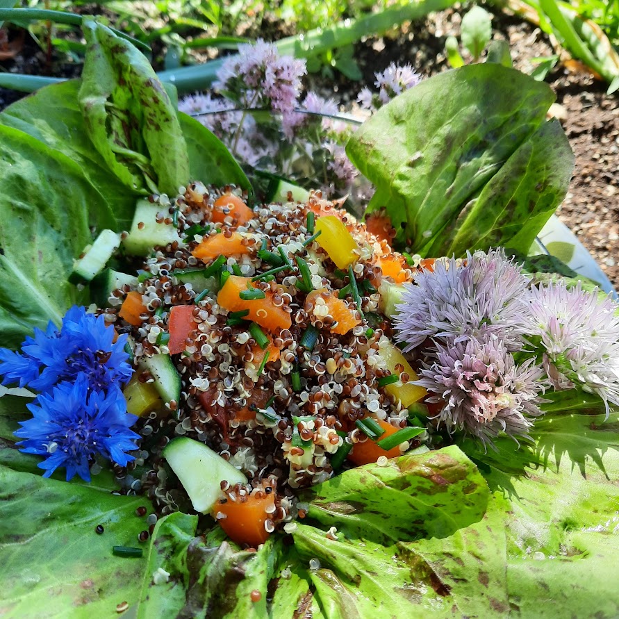 Herb-Infused Quinoa Salad with Garden Greens