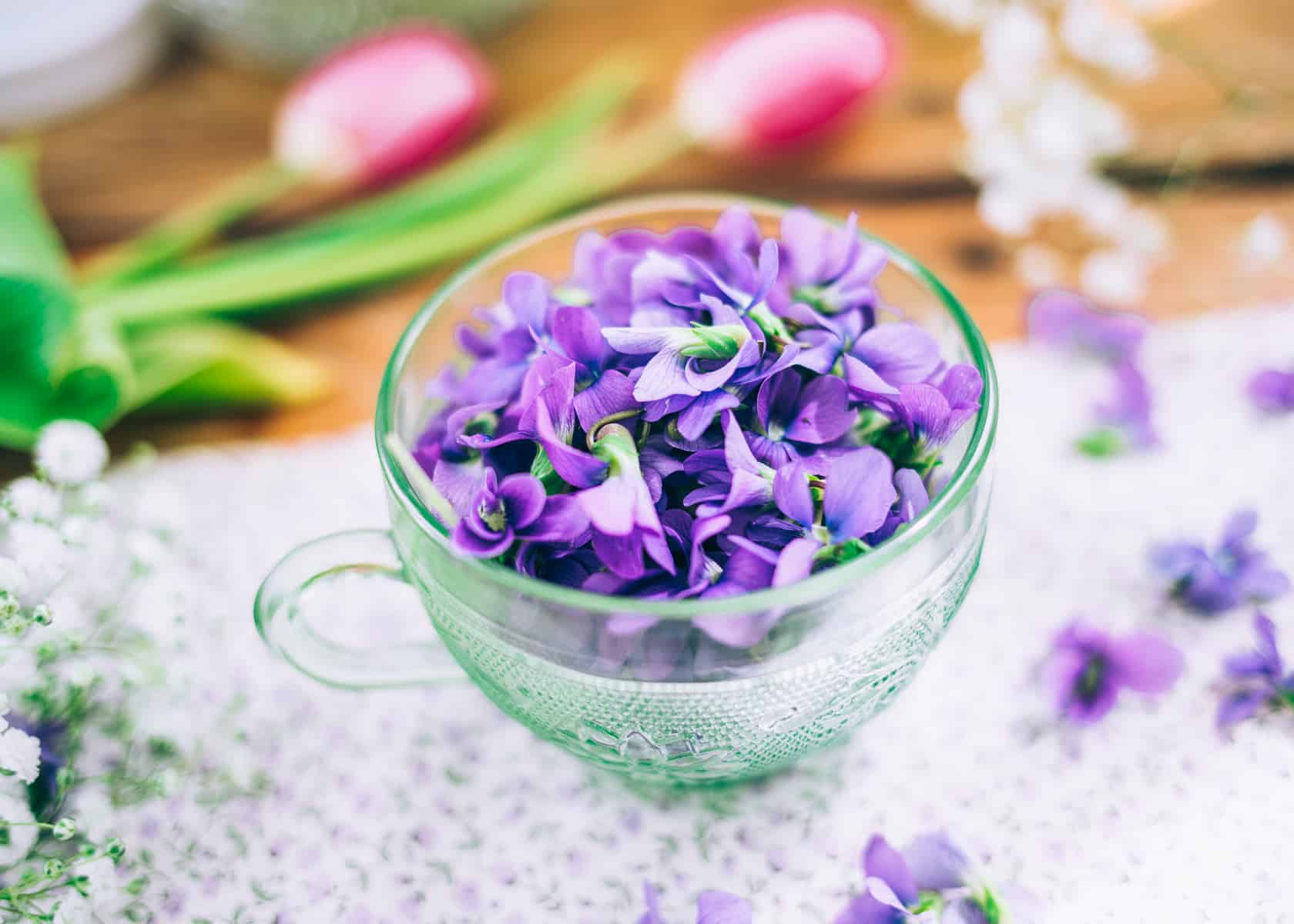 Violet Syrup Spritzer