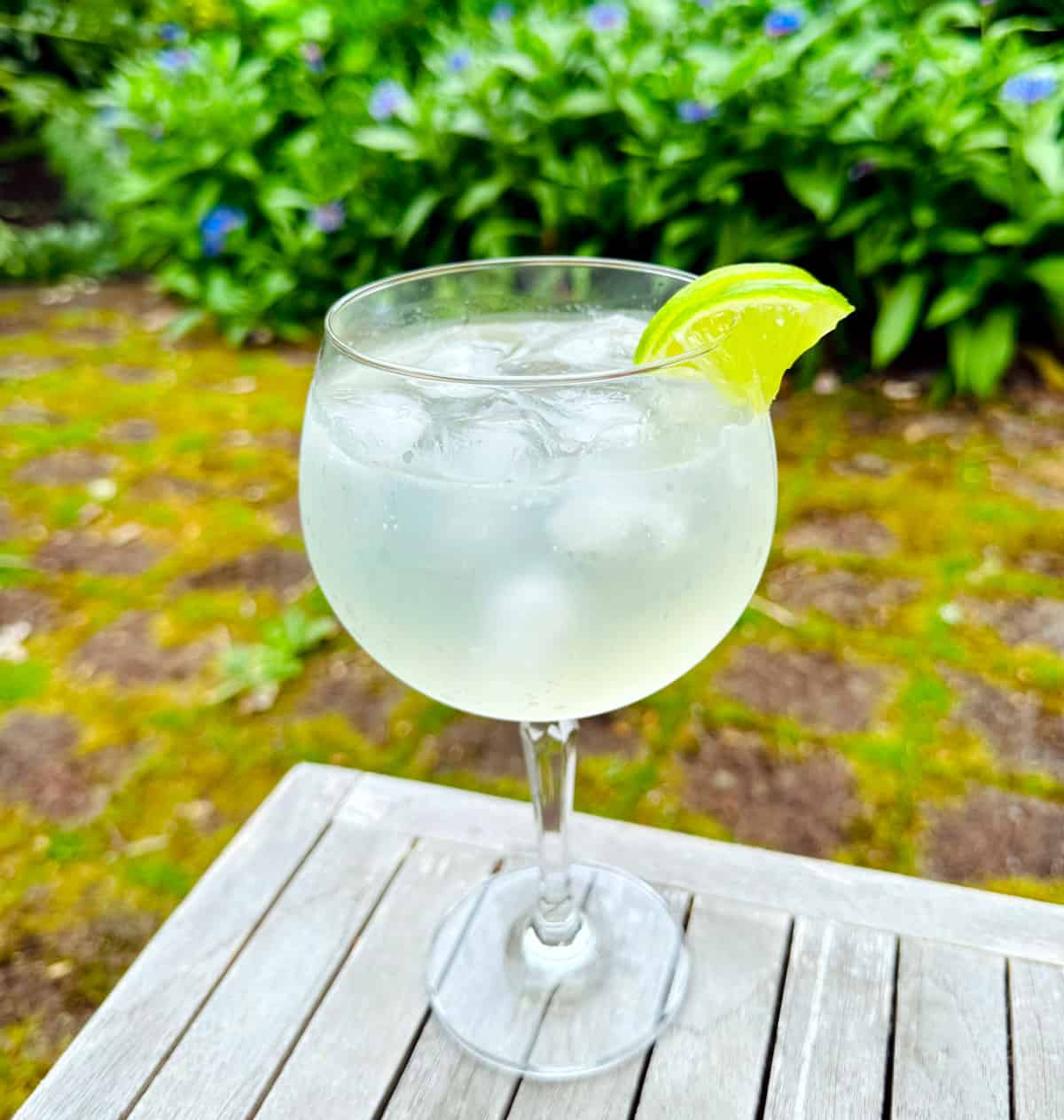 Botanical Gin Tonic with Elderflower