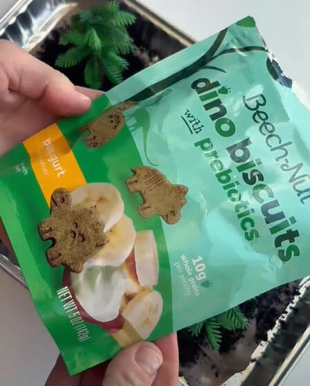 S PARK Museum Dino Dig Fruit Parfaits