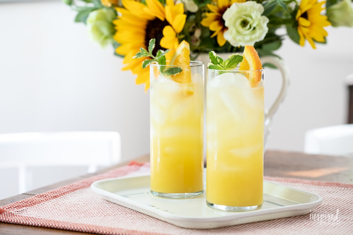 Hibiscus-Ginger Citrus Spritzer