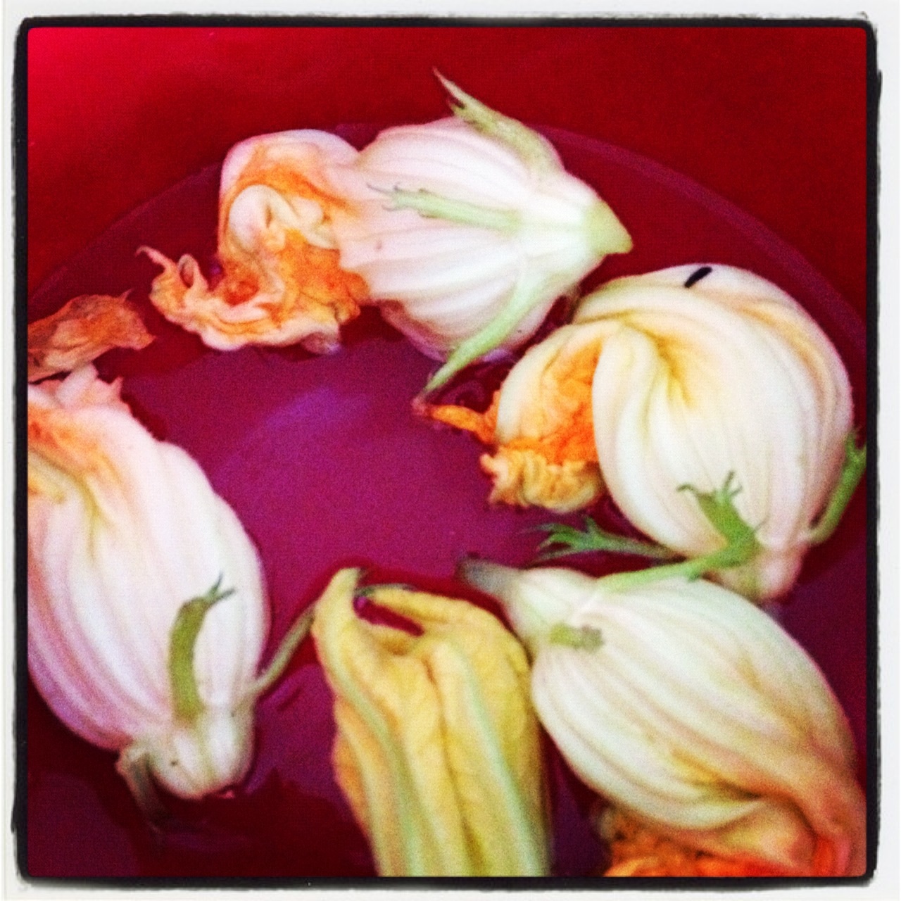 Crisp-Fried Zucchini Blossoms with Herbed Ricotta