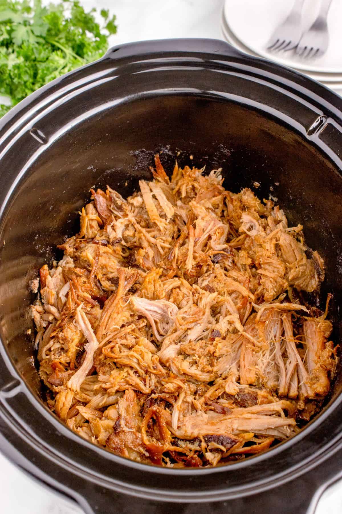 Slow Cooker Caramelized Onion and Apple Pulled Pork
