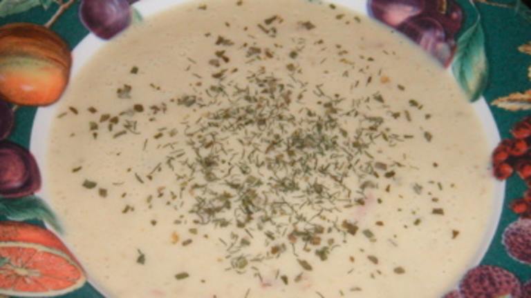 Belgian Endive and Leek Soup