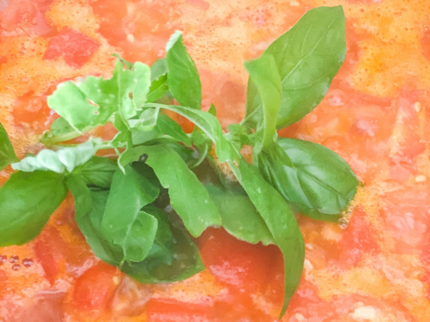 Auction Block Tomato & Basil Soup with Crispy Bread Croutons