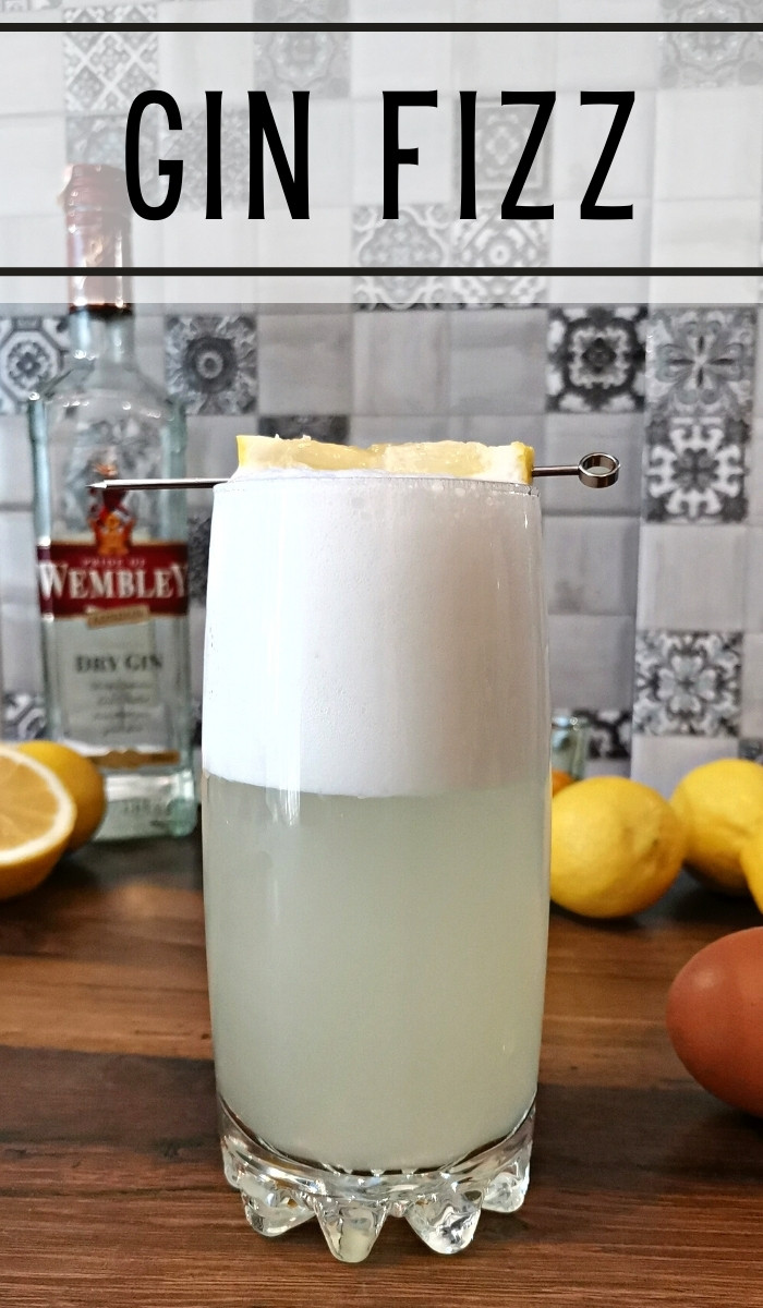 Citrus-Infused Gin Fizz Cocktail