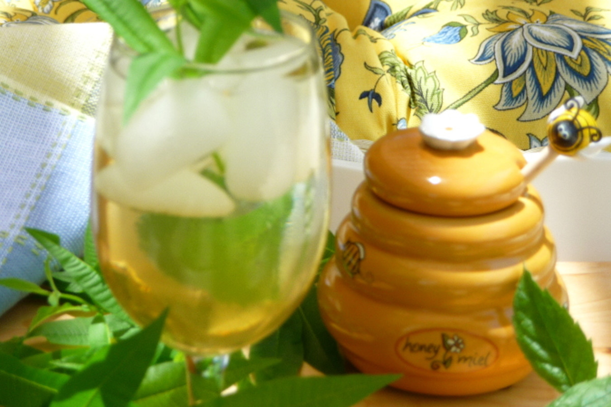 Herb-Infused Gin Fizz with Lemon Verbena