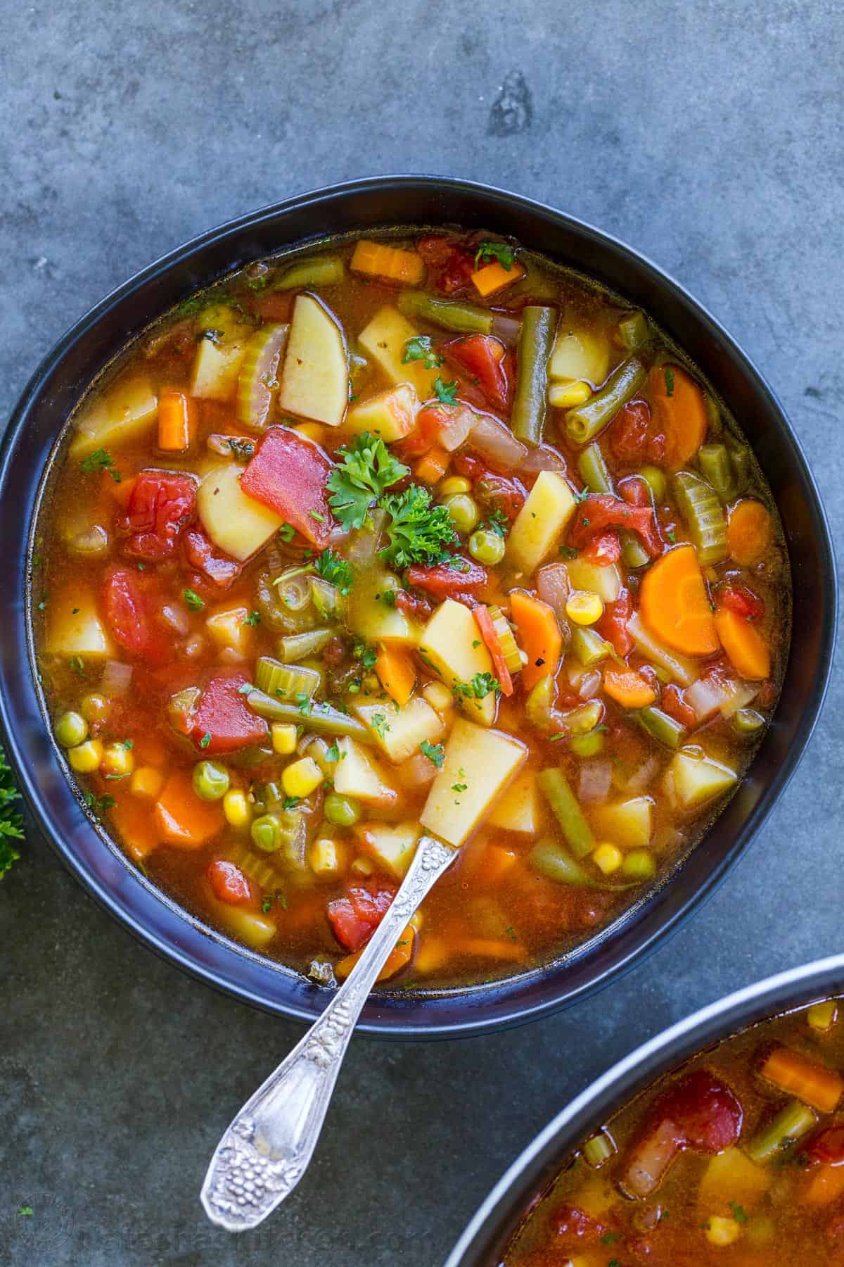 Best-Adverb Vegetable Soup