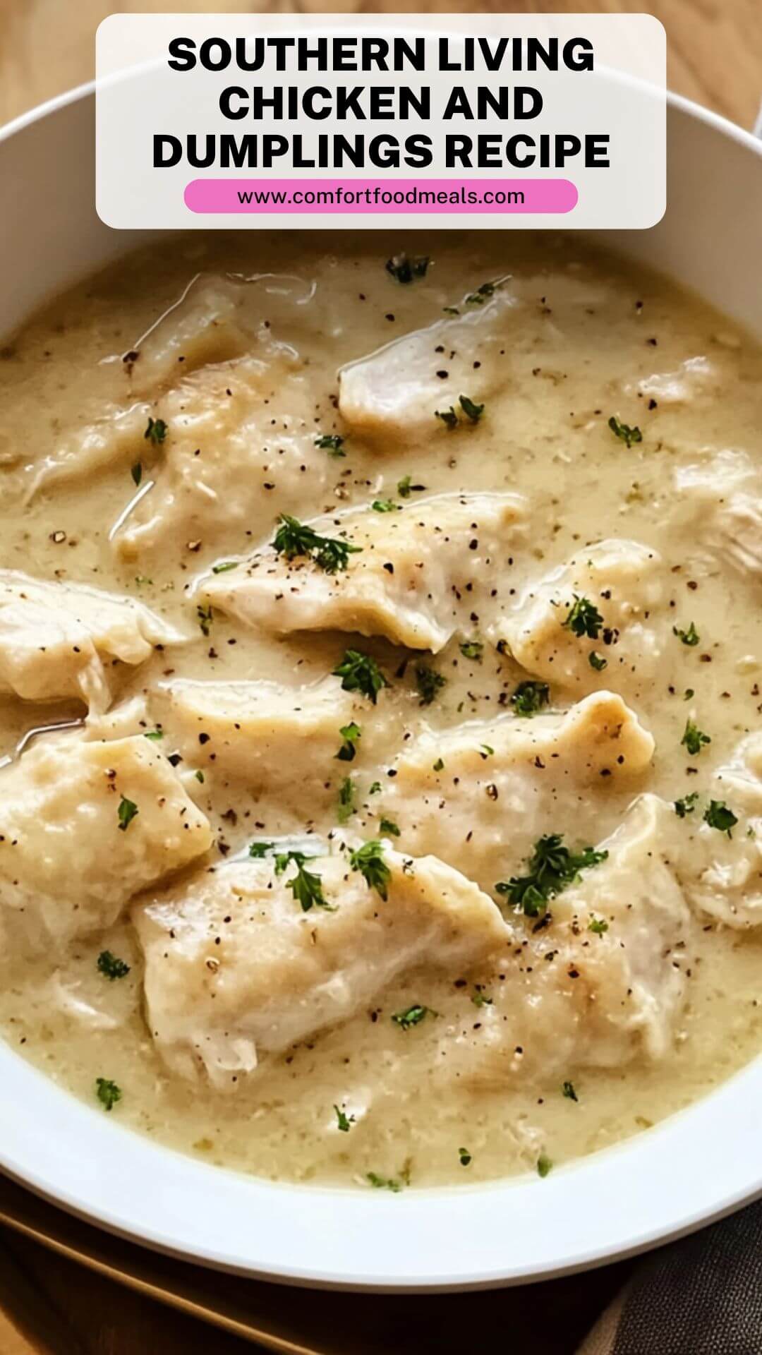 Southern Comfort Chicken and Dumplings
