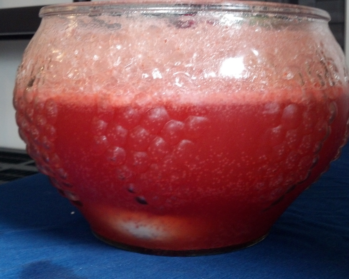 Strawberry Raspberry Citrus Punch