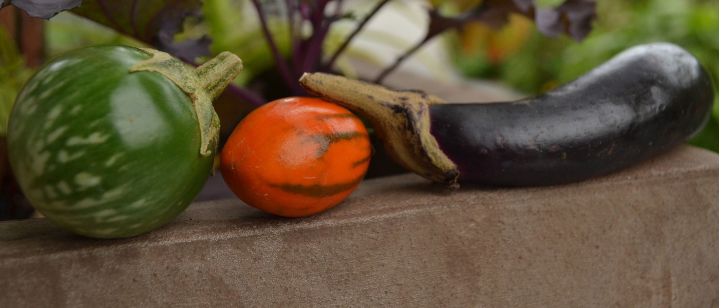 Herb-Roasted Eggplant with Tzatziki