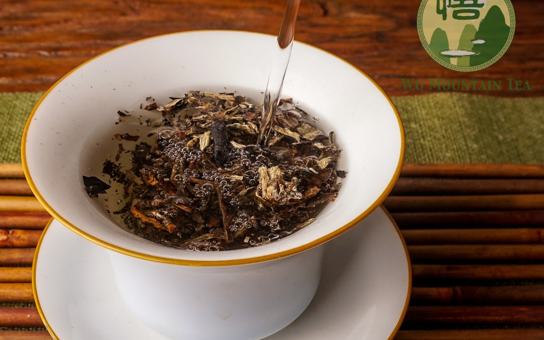 Wuyi Mountain White Tea Infusion