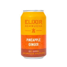 Fermented Ginger-Pineapple Kombucha Elixir