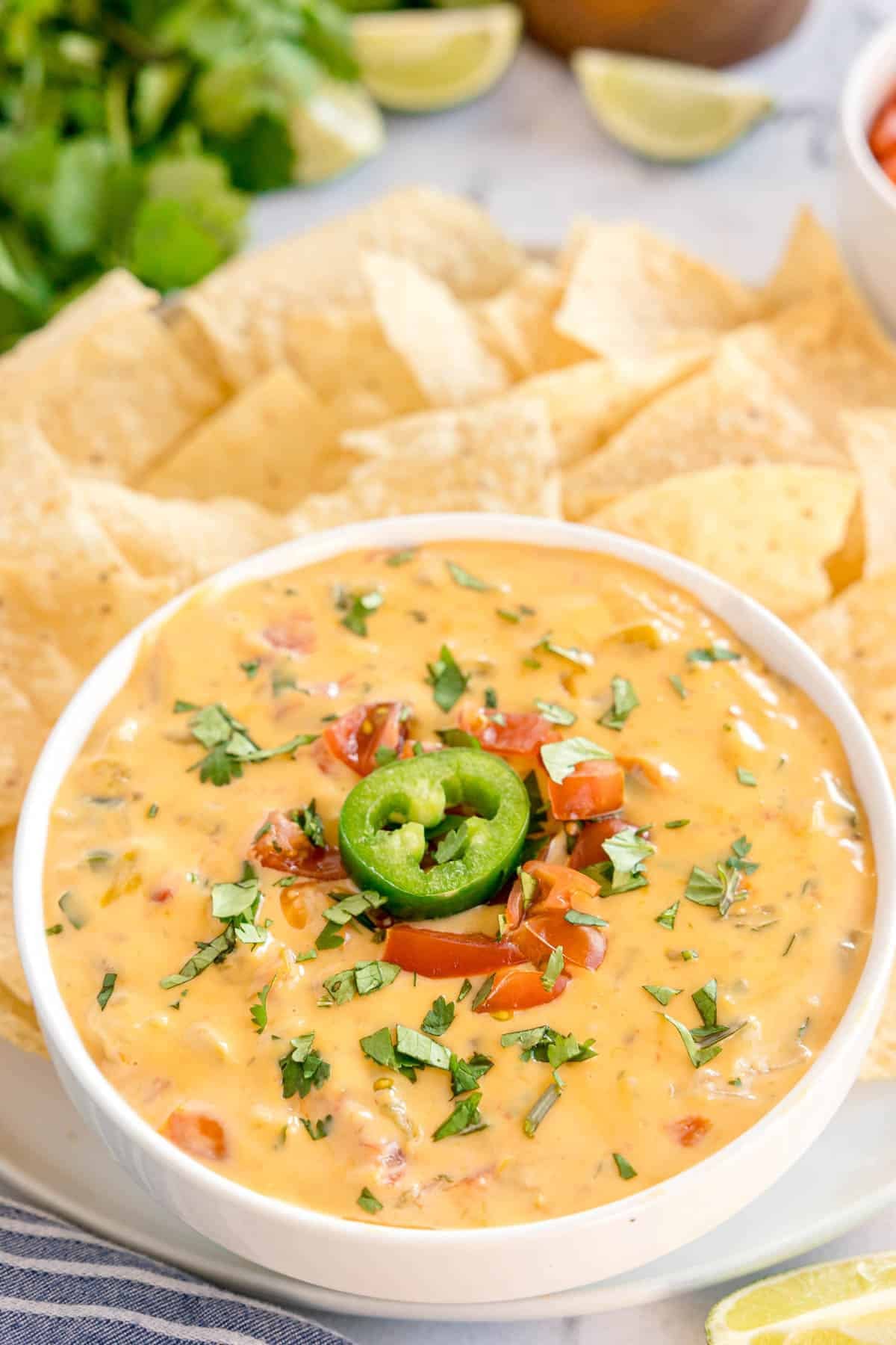 Quick Tomato and Jalapeño Queso Dip