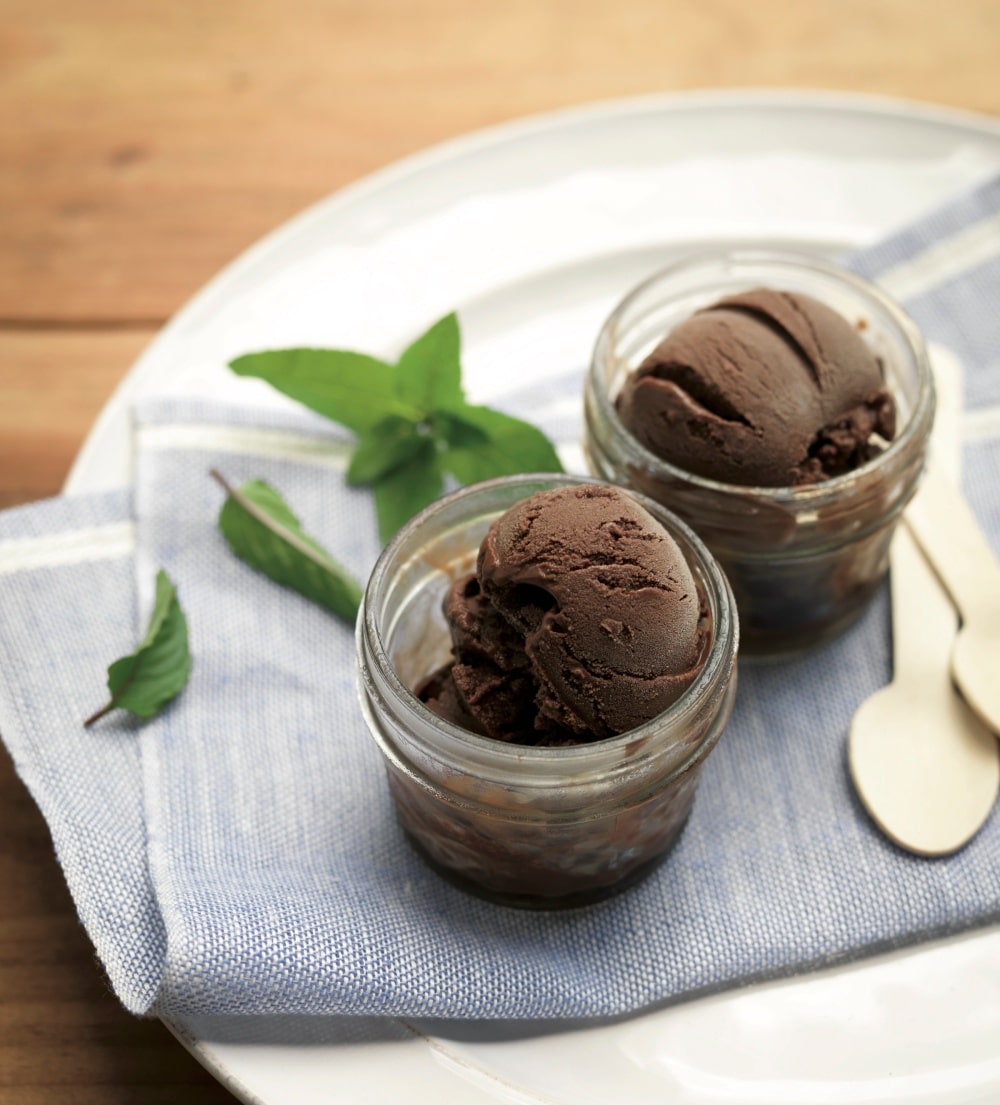 Mint Chocolate Sorbet