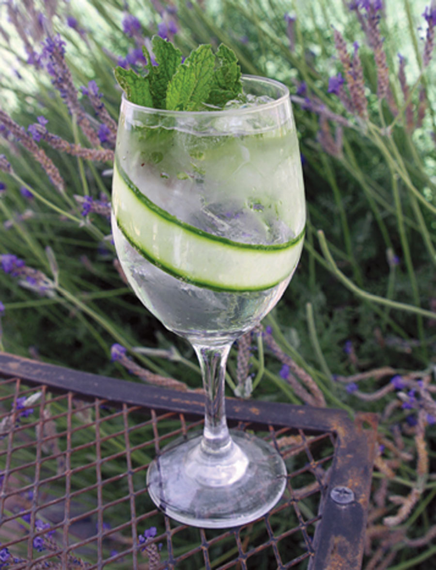Cucumber-Lime Muddled Spritzer